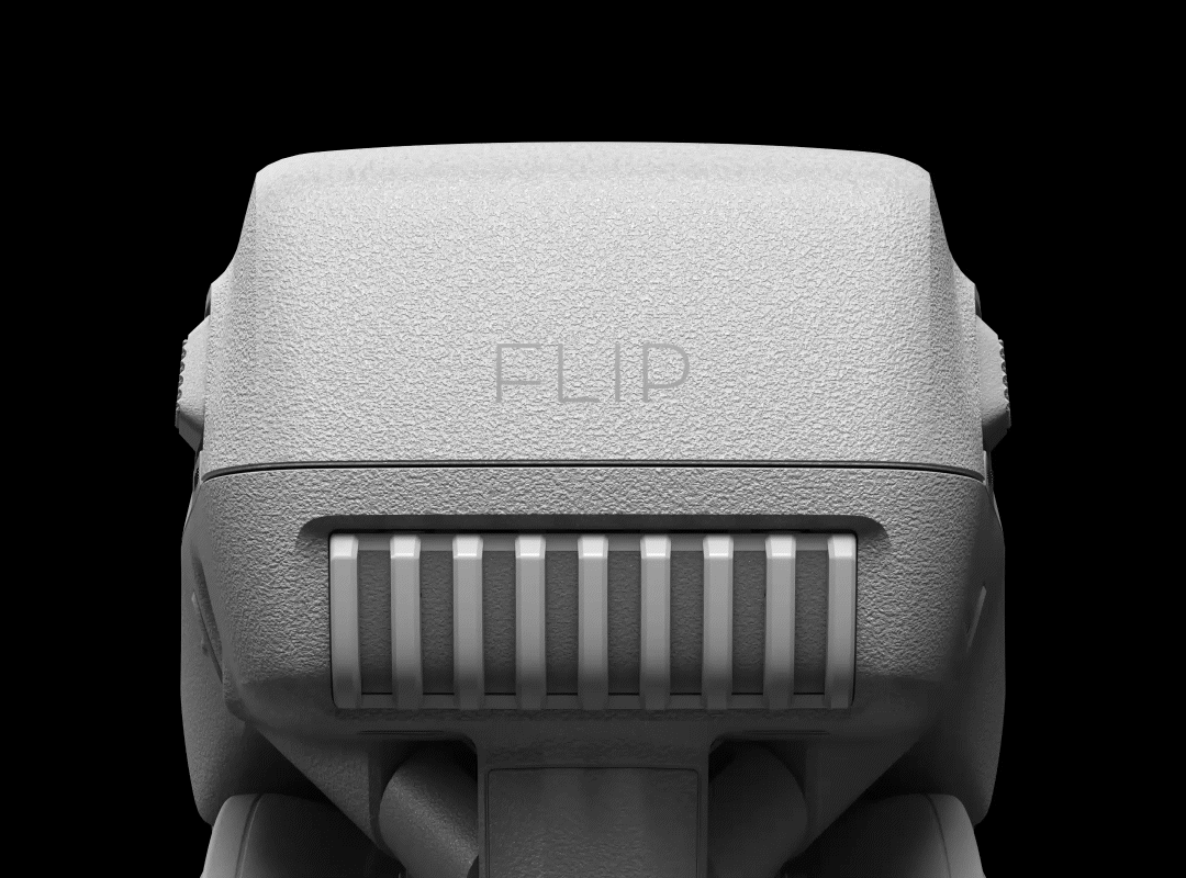 DJI Flip
