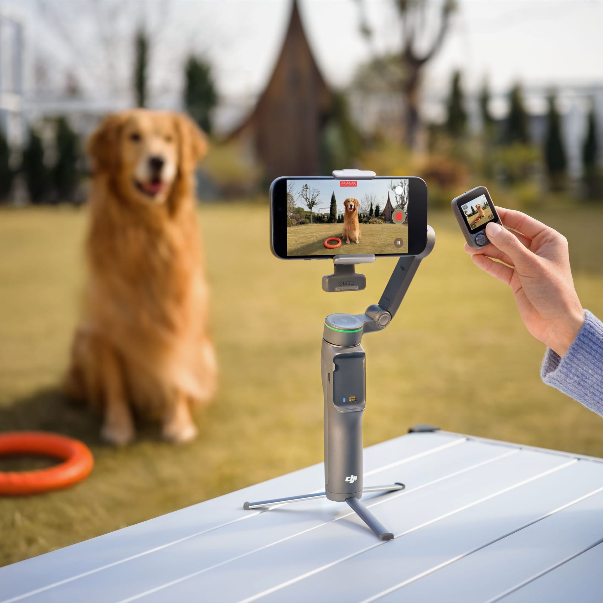 Osmo Mobile 8P OSMOM8P-SC product image 9