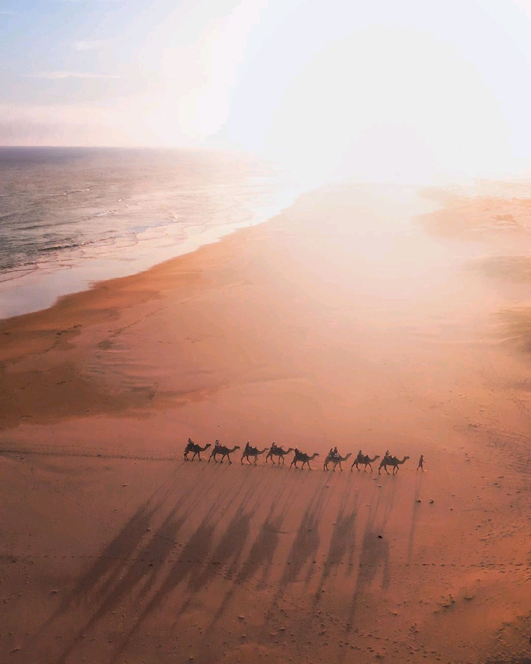 djistoreau camels sand dunes am_irish Mavic 2 Pro DJI