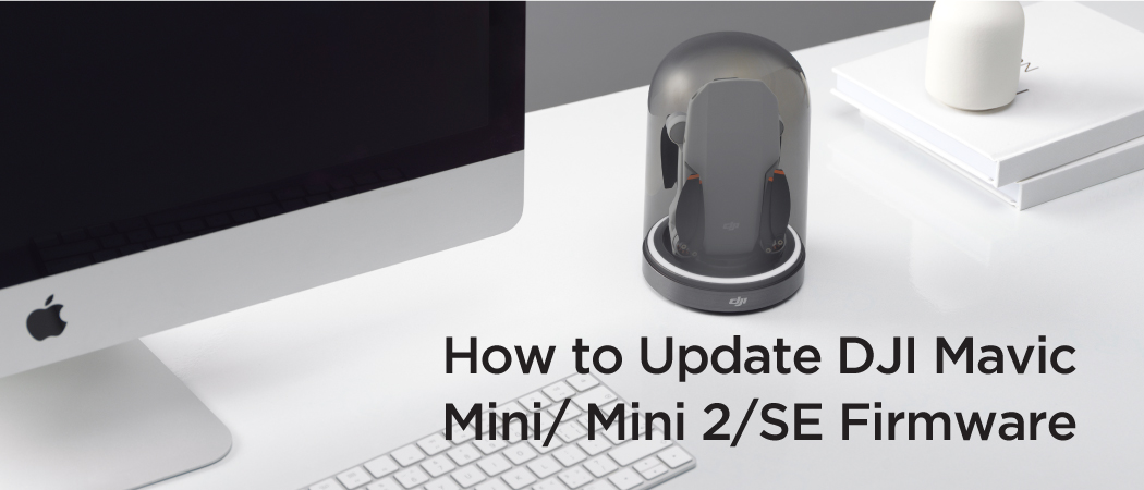 How to Update DJI Mavic Mini/Mini 2/SE Firmware