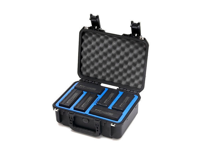 GPC Hard Case for TB60/TB65 Batteries