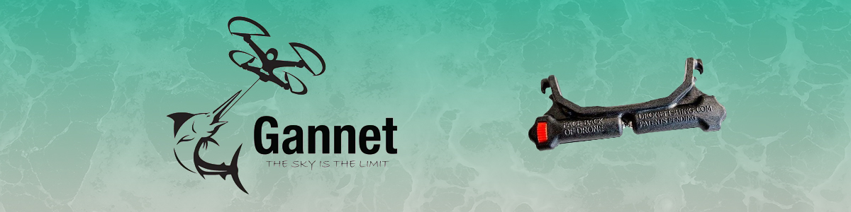 Gannet